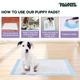 Pawpaya Training Pads 7's - Pet Grooming