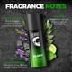 Beardo Glory Deo Body Spray Stong and Long Lasting Perfume Deodorant Fresh Fragrance For Men 150 ml - Men Deodorants/Roll-Ons