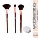 Gubb Daily Stroke Kit Set Of 4 (Fan Brush, Blush Brush, Eyeshadow Brush & Makeup Wedges) 1's - Face Brush