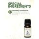 Clovia Botaniqa Pure Rosemary Essential Oil 10 ml - Essential Oils
