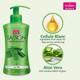 Vi-John Women Saffron Fairness Body Lotion (Rose + Turmeric + Cocoa Butter) - Pack of 3 x 250 ml - Lotions & Creams