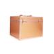 Colorbar Vanity Box - (Rose Gold) 1's - Makeup Bags & Cases