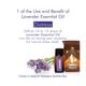 Nyassa Lavender Essential Oil 100% Pure & Natural 10 ml - Essential Oils