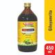 Baidyanath Giloyamrita Tonic 450 ml - Health Products