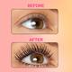 Renee Cosmetics Everyday 2X Instant Volumizing, Lengthening, Waterproof Mascara with Vitamin E 15 ml - Mascaras