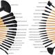 Bronson Professional Makeup Brush With Faux Leather  32's - Face Brush