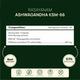 Rasayanam Ashwagandha KSM66 600Mg Capsules 60's - General Health