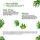 Atulya Tea Tree Anti Acne Facial Mist Toner 150 ml - Face Mists