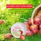 Alainne Fruit Skin Creme 50 gm - Face Moisturizers