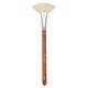 Daily Life Forever52 Small Fan Brush Px052 Px052 1'S - Face Brush