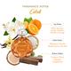 Mocemsa Celeb Gift Set -EDP 110ml and Travel Size 25ml and Deo 150ml 1's - Women Perfumes (Edt/Edp)