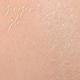 Europe Girl Shiny Fixer -02 Ginger Glow 80 ml - Setting Spray
