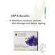 Organic Harvest Brightening Vitamin C Night Cream 15gm - Night Cream