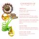 TAC The Ayurveda Co. Triphala & Yashtimadhu with 10% Niacinamide Face Toner 100 ml - Personal Care (Ayush)