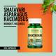 Morpheme Remedies Shatavari (Asparagus Racemous) 500mg Extract 60's - Women Health
