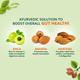 Vansaar Triphala Juice 1 L - Ayurvedic Juices