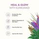 Kapiva Skin Rituals Kumkumadi Glow Face Oil - Green Tea & Jojoba Seed Oil 30 ml - Face Oils