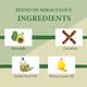 Glamveda Avocado Superfood Skin Brightening Facial Kit For Women 40 gm - Facial Kits