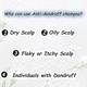 Ktein Natural 100% Plant Based Anti Dandruff Shampoo 100 ml - Shampoos