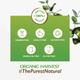 Organic Harvest Acne Control Mattifying Foaming Face Wash Green Tea & Moringa Enriched With Vitamin B 100 gm - Face Washes