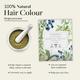 Sadhev Natural Hair Colour Powder - Single Process 200 gm - Powder