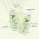 Cleansense Green Apple Shower Gel (Combo of 2) 560 gm - Shower Gels & Body Wash