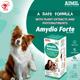 Amydio Forte PET Liquid 200 ml - Pet Healthcare