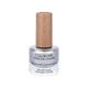 Colorbar Vegan Nail Lacquer Silver Ring-201 8 ml - Nail Polish