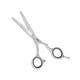 Vega Professional Pro Craft E 5.5' Silver Line Hairdressing Scissor (VPVSC-20) 1's - Grooming Kits
