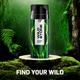 Wild Stone Forest Spice Deodorant 150 ml - Men Deodorants/Roll-Ons