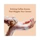mCaffeine Coffee Shower Jelly Soap Free Bathing Bar with Hyaluronic Acid 100 gm - Soaps