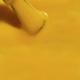 Colorbar Bumble Bee - (1088) 12 ml - Nail Polish