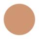 PAC Take Cover Concealer 14 Twisted Toffee 6.8 gm - Concealer