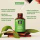 Organic Harvest Tea Tree Essential Oil 30 ml - Essential Oils