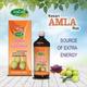 Swadeshi Keshari Amla Ras 500 ml - Health Products