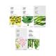 The Face Shop Unisex Real Nature Hydrating Face Masksheet (Pack Of 10) - Masks & Peels