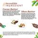 Atulya Cocoa Butter Natural Lip Balm 5 gm - Lip Balms