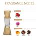 Ajmal Aura Concentrated Perfume Oil Floral Fruity Alcohol For Unisex And Musk Rose Concentrated Perfume Oil Floral Musky Alcohol For Unisex 22 ml - Perfumes (Edt/Edp)