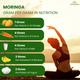 Vansattva Moringa Capsule 60's - Speciality Medicines
