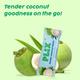 Plix The Plant Fix Tender Coconut Water Premix Powder Sachets 15's - Energy Drinks