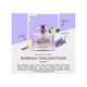 Dorall Collection Mesmeric Eau De Toilette 100 ml - Women Perfumes (Edt/Edp)