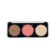 Swiss Beauty Blusher & Highligter Palette -02 8 gm - Blushes