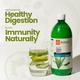 Krishna's Herbal & Ayurveda Pulpy Aloe Vera Juice 1000 ml - Ayurvedic Juices
