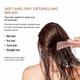 Tash Hair Slick - Portable Detangling Boar Bristle Hair Brush For Wet, Dry, Curly and Straight Hair Gold 60 gm - Hair Brushes