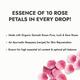 Kapiva Skin Rituals Rose Water 200 ml - Personal Care (Ayush)
