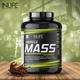 INLIFE Muscle Mass Gainer with Whey Protein Powder Chocolate Flavor 3 kg - Weight Gain