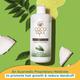 Coco Soul Curry Leaves Hair Oil With Extra Virgin Coconut Oil - Makers Of Parachute Advansed 200 ml - Hair Oils