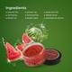 Riyo Herbs Rose Lip Scrub - Watermelon 25 gm - Lip Scrubs