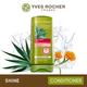 Yves Rocher Shine Detangling Gel 200ml - Conditioners