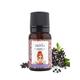 Skivia Elderberry Essential Oil 10 ml - Essential Oils